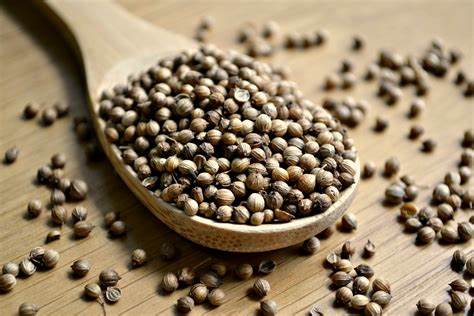 Coriander Seeds